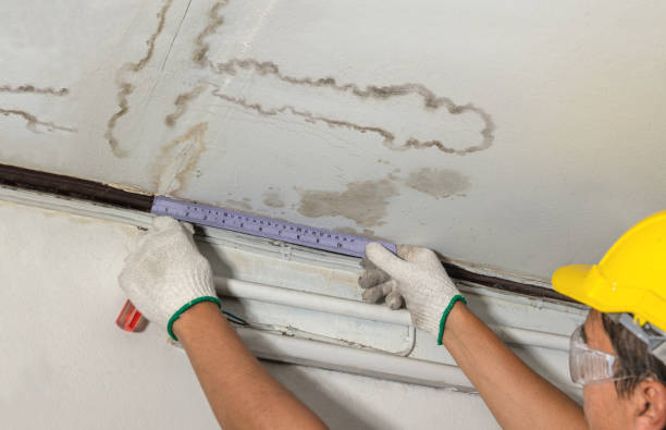 Reliable Burst Pipe Cleanup contractor in Lexington, NE by Water Damage Irwin